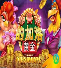 数据分析与优化